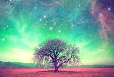 Fototapete Baum und Sternenhimmel