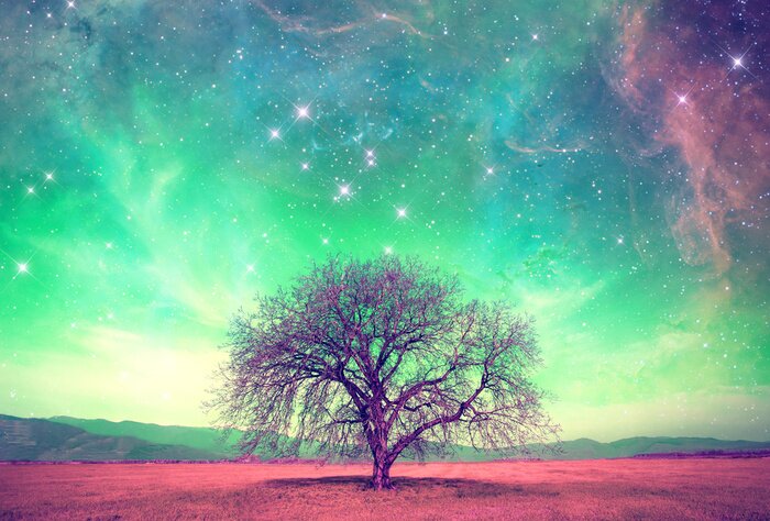 Fototapete Baum und Sternenhimmel