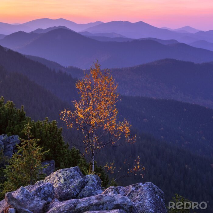 Fototapete Baum vor dem Hintergrund der Berge