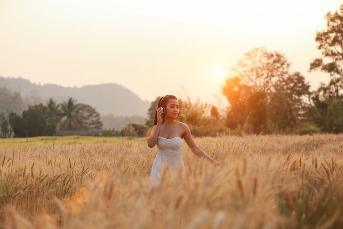 Fototapete Baumelnde Blätter in Herbstfarben auf Beton