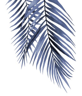 Baumelndes blaues Palmblatt