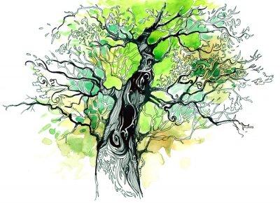 Fototapete Baumzeichnung mit grüner Krone