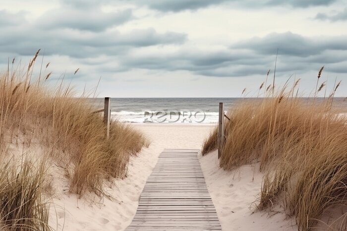 Fototapete Beach access wooden pathway of a sea in sand dunes with ocean