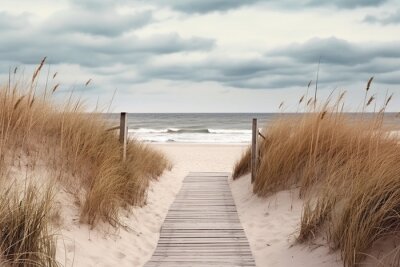 Fototapete Beach access wooden pathway of a sea in sand dunes with ocean