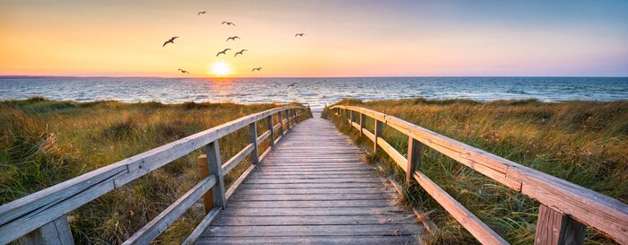 Fototapete Beautiful dunes beach at sunset, North Sea, Germany