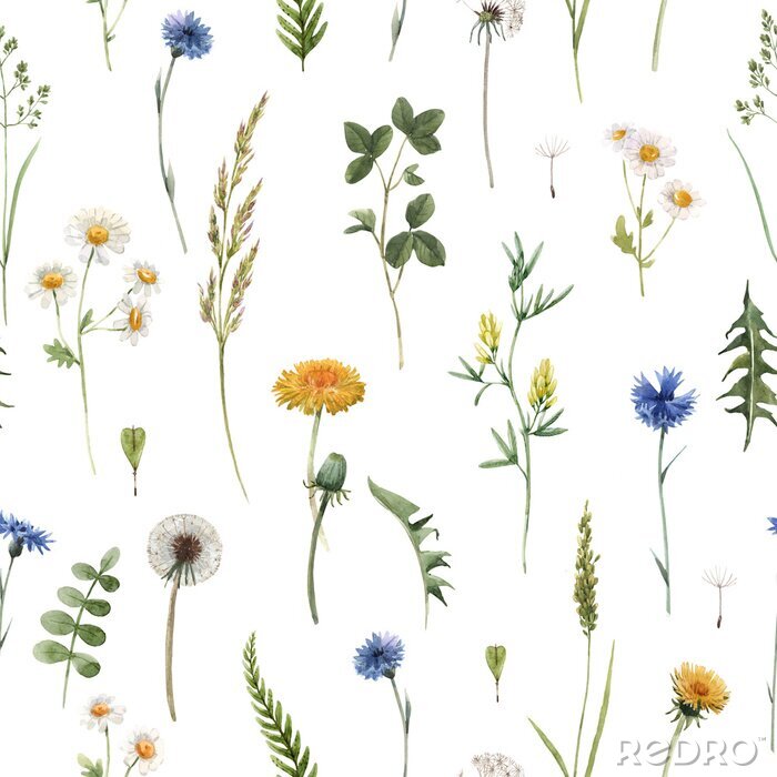 Fototapete Beautiful floral summer seamless pattern with watercolor hand drawn field wild flowers. Stock illustration.