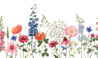 Fototapete Beautiful floral summer seamless pattern with watercolor hand drawn field wild flowers. Stock illustration.