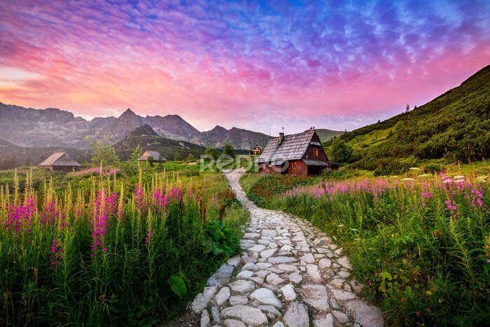 Fototapete Beautiful summer sunrise in the mountains - Hala Gasienicowa in Poland - Tatras