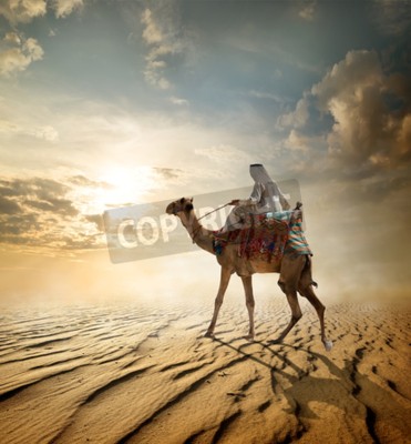 Fototapete Beduine Kamel und Wüste