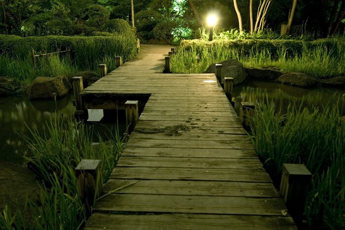 Fototapete Beleuchteter Steg inmitten von Natur