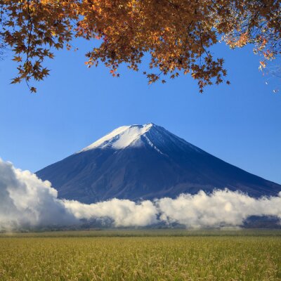 Fototapete Berg Fuji in Asien im Herbst