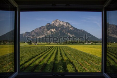 Fototapete Berg vor einem feld