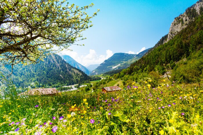 Fototapete Berg Wiese und Ansicht