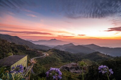 Fototapete Berge Blumen und Sonnenaufgang