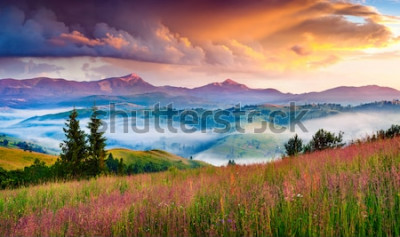 Fototapete Berge Nebel und Landschaft