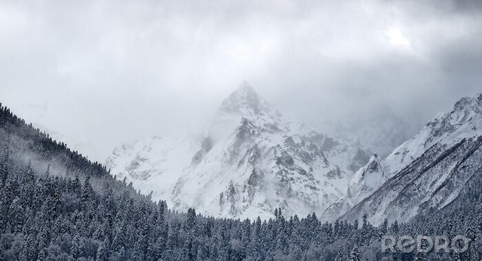 Fototapete Berge und Natur im Winter