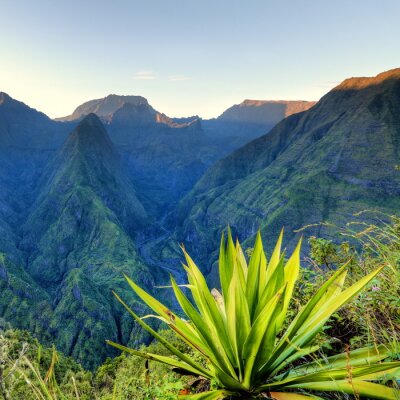 Fototapete Berge und tropische Vegetation