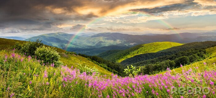 Fototapete Berge und violette Blumen