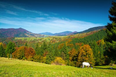 Fototapete Berge Wald und Pferde