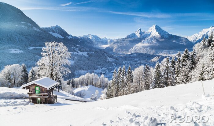 Fototapete Berge Winter neblig
