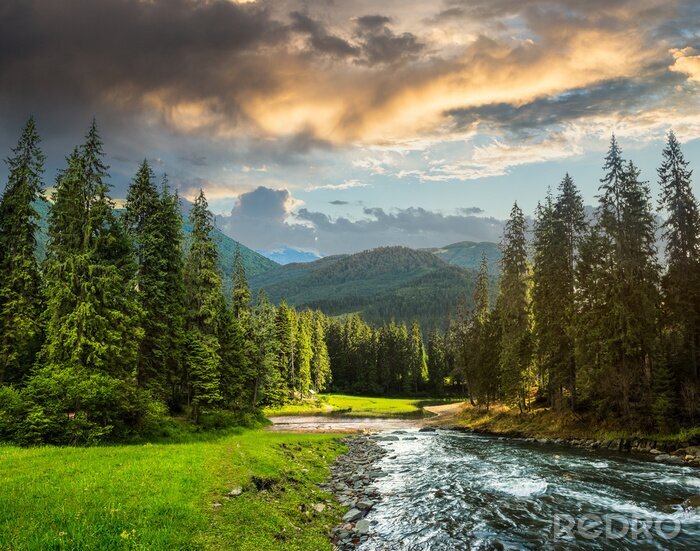 Fototapete Bergfluss und Pflanzen