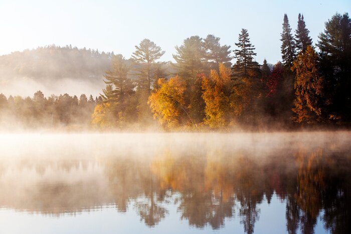 Fototapete Berglandschaft im Nebel in Herbstfarben