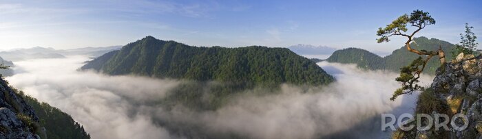 Fototapete Berglandschaft mit Pieninen