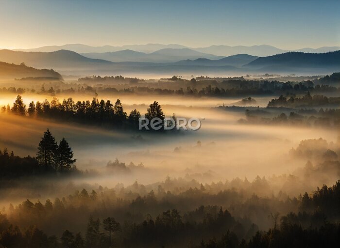 Fototapete Berglandschaft mit Wald im Sonnenaufgang