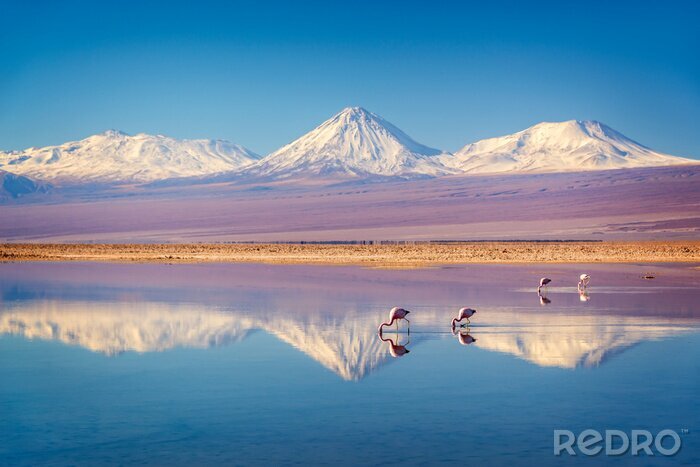 Fototapete Bergpanorama mit flamingos