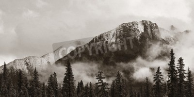 Fototapete Bergspitze zwischen den bäumen
