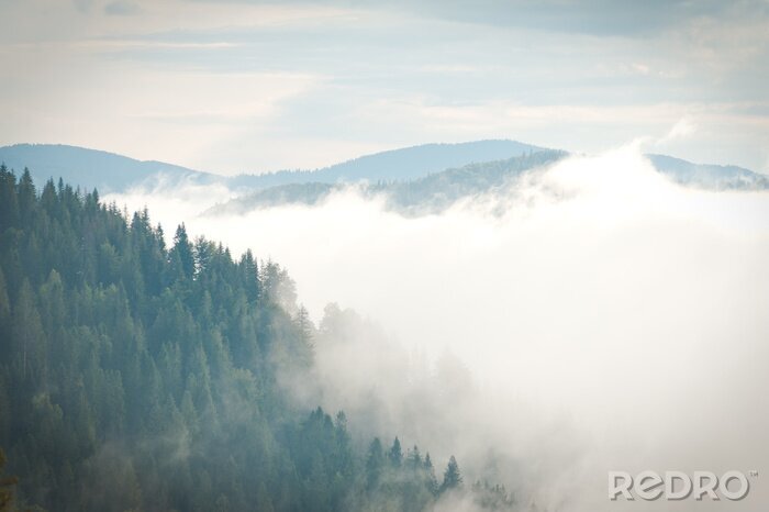 Fototapete Bergwald und wolken
