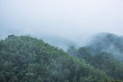 Fototapete Bewaldete berge im nebel