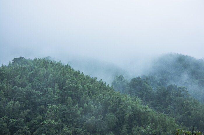 Fototapete Bewaldete berge im nebel