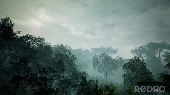 Fototapete Bewölkter Himmel über dem Dschungel