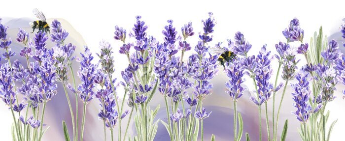 Fototapete Bienen auf Lavendelblüten