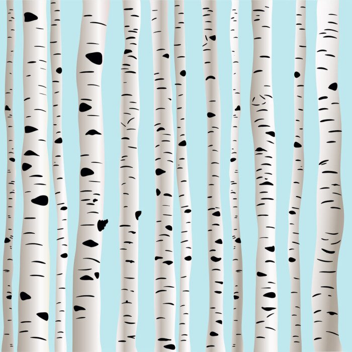 Fototapete Birken 3D auf himmelblauem Hintergrund