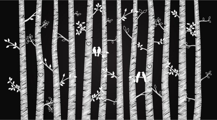 Fototapete Birken auf schwarzem Hintergrund