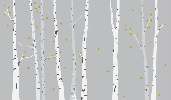 Fototapete Birken-Silhouette-Hintergrund