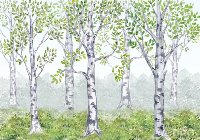 Fototapete Birkenhain in einer märchenhaften Illustration