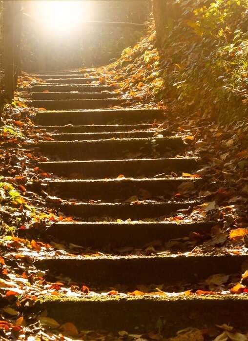 Fototapete Blätter auf Treppe