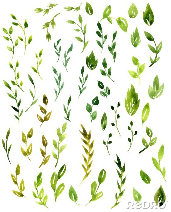 Fototapete Blätter aus Bäumen