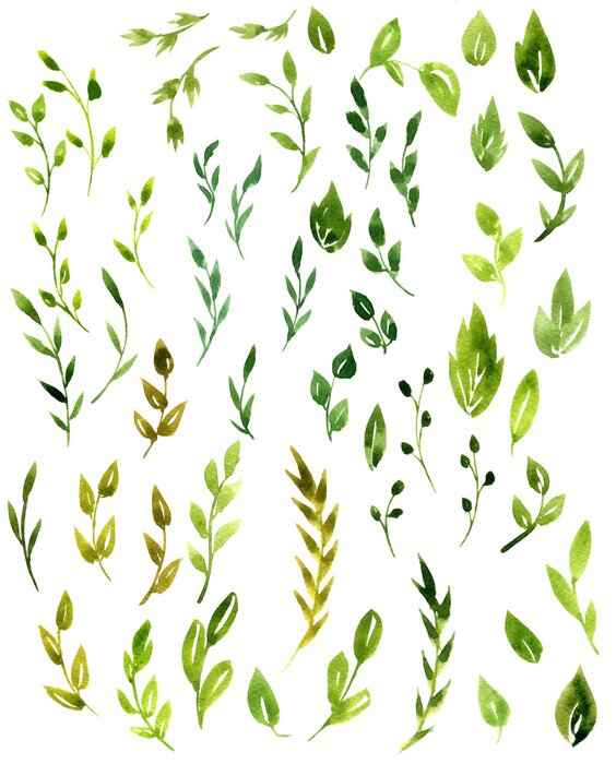 Fototapete Blätter aus Bäumen