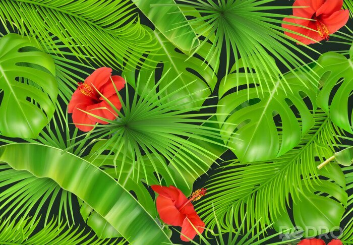 Fototapete Blätter und Blumen im Dschungel am Hintergrund