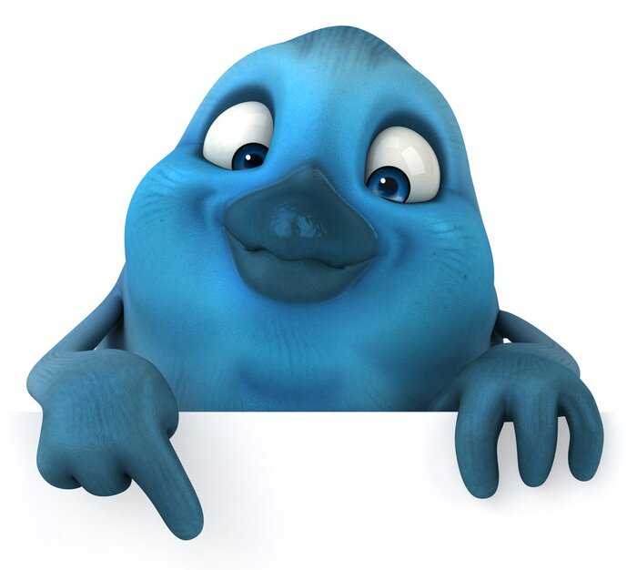 Fototapete Blau zeigender Vogel