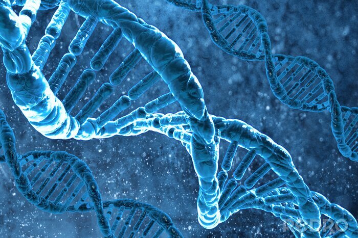 Fototapete Blaue DNA-Moleküle