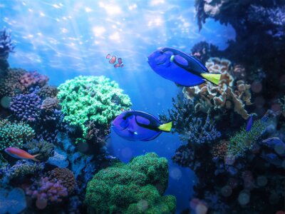 Fototapete Blaue Fische und Korallenriff