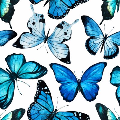 Blaue große Schmetterlinge auf weißem Hintergrund