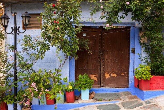 Fototapete Blaue wand und bunte blumentöpfe