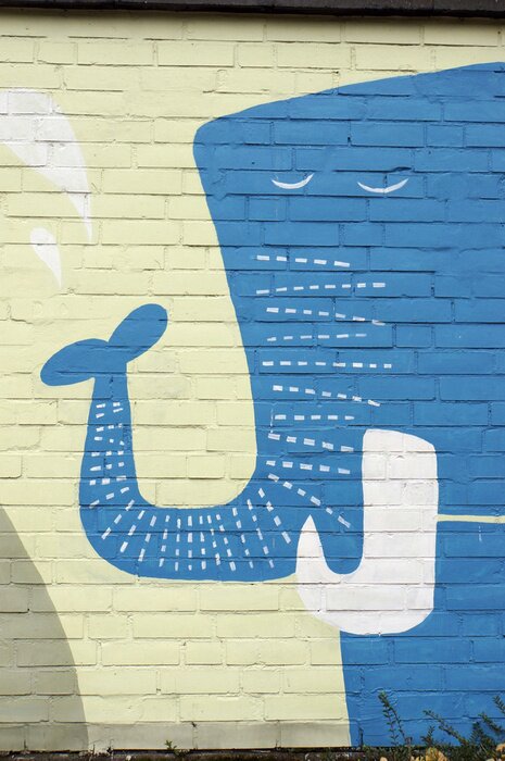 Fototapete Blauer Elefant auf Graffiti