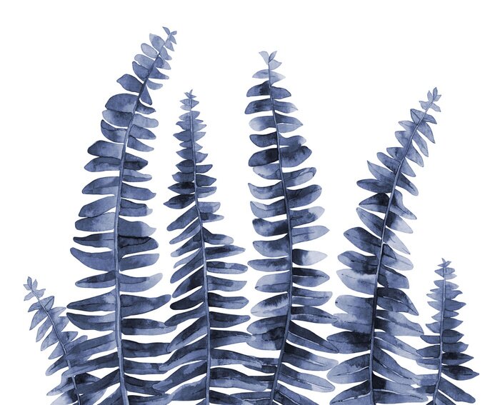 Fototapete Blauer Farn